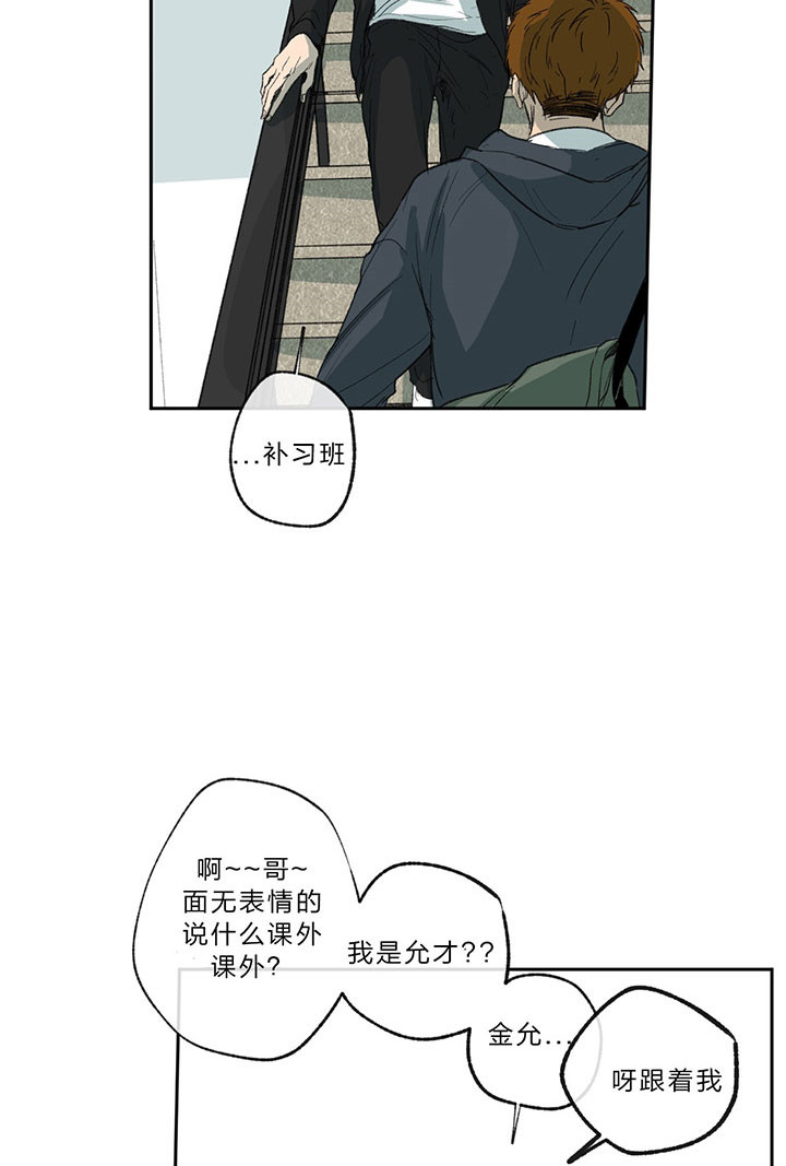 《走失的夜(第I+II季)》漫画最新章节第16话免费下拉式在线观看章节第【32】张图片