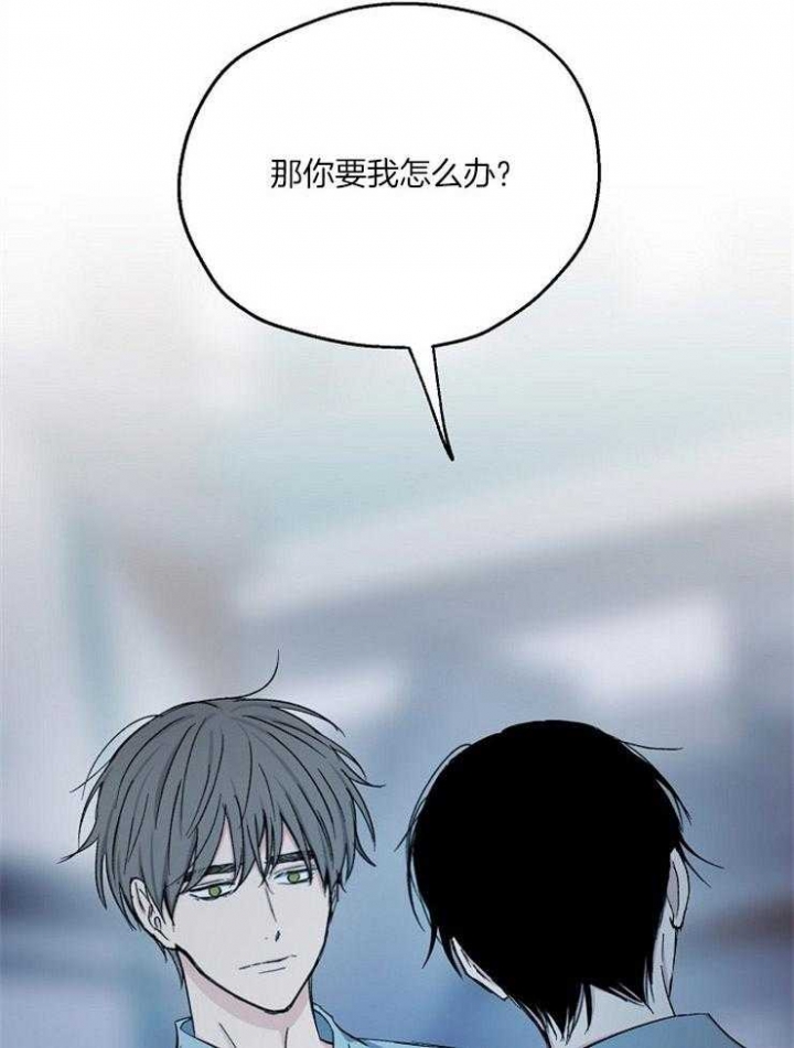 《爱情功率》漫画最新章节第81话免费下拉式在线观看章节第【16】张图片