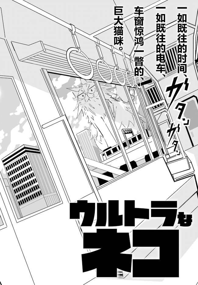 《奥特猫猫》漫画最新章节第5话免费下拉式在线观看章节第【2】张图片