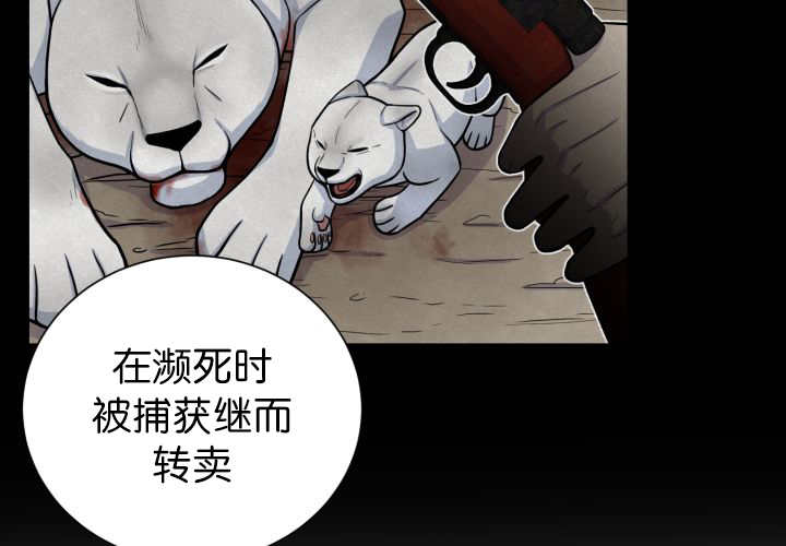 《旷野之息》漫画最新章节第87话免费下拉式在线观看章节第【25】张图片