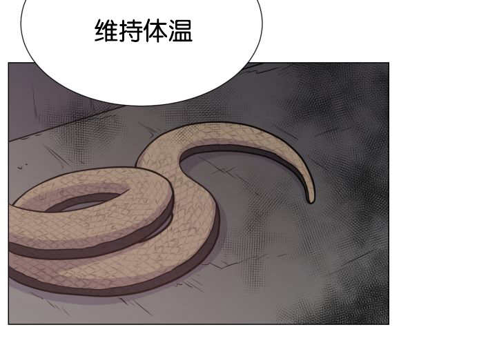 《旷野之息》漫画最新章节第35话免费下拉式在线观看章节第【125】张图片