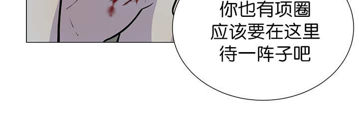 《旷野之息》漫画最新章节第3话免费下拉式在线观看章节第【89】张图片