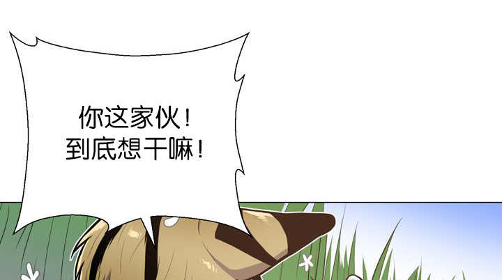 《旷野之息》漫画最新章节第12话免费下拉式在线观看章节第【83】张图片