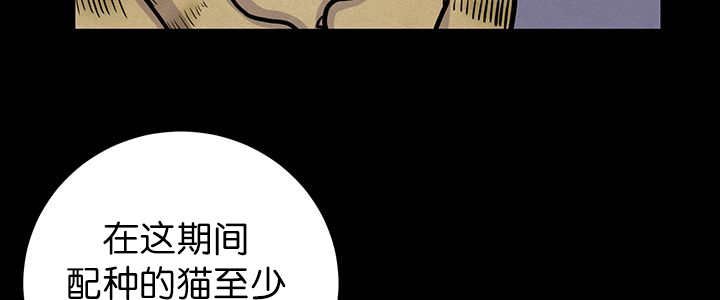 《旷野之息》漫画最新章节第6话免费下拉式在线观看章节第【43】张图片