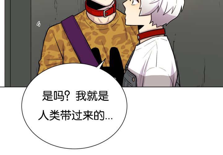 《旷野之息》漫画最新章节第46话免费下拉式在线观看章节第【33】张图片