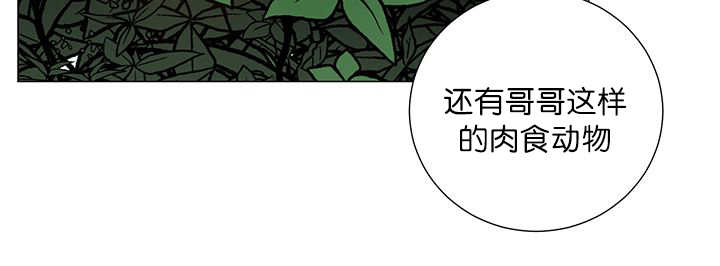 《旷野之息》漫画最新章节第19话免费下拉式在线观看章节第【51】张图片