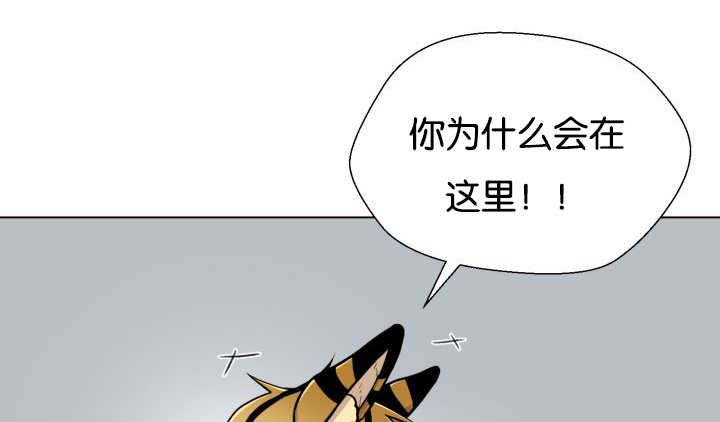 《旷野之息》漫画最新章节第45话免费下拉式在线观看章节第【83】张图片