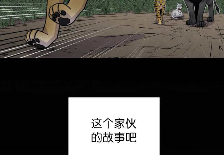 《旷野之息》漫画最新章节第53话免费下拉式在线观看章节第【77】张图片