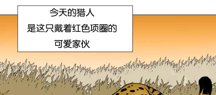 《旷野之息》漫画最新章节第43话免费下拉式在线观看章节第【91】张图片