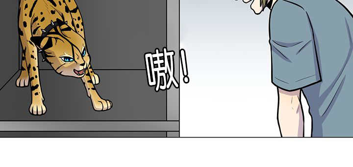 《旷野之息》漫画最新章节第1话免费下拉式在线观看章节第【47】张图片