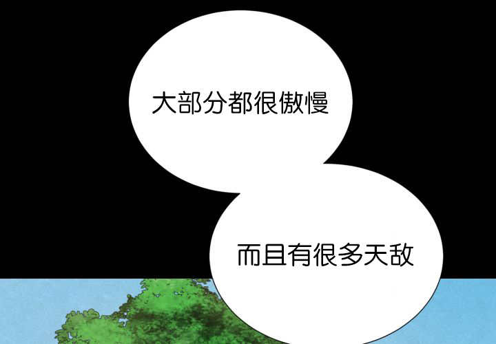 《旷野之息》漫画最新章节第73话免费下拉式在线观看章节第【63】张图片