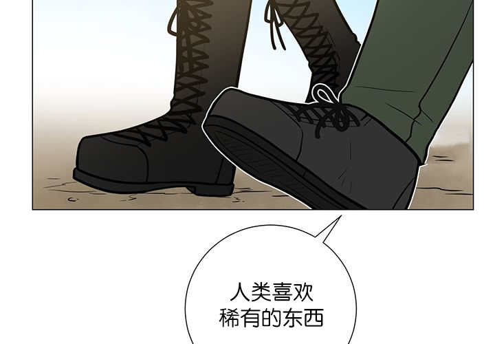 《旷野之息》漫画最新章节第5话免费下拉式在线观看章节第【31】张图片