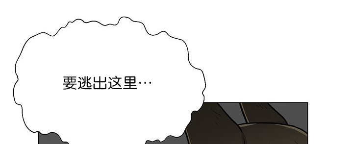 《旷野之息》漫画最新章节第5话免费下拉式在线观看章节第【73】张图片