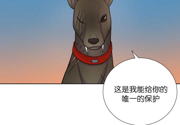 《旷野之息》漫画最新章节第67话免费下拉式在线观看章节第【13】张图片