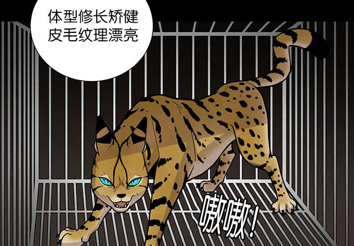 《旷野之息》漫画最新章节第1话免费下拉式在线观看章节第【61】张图片