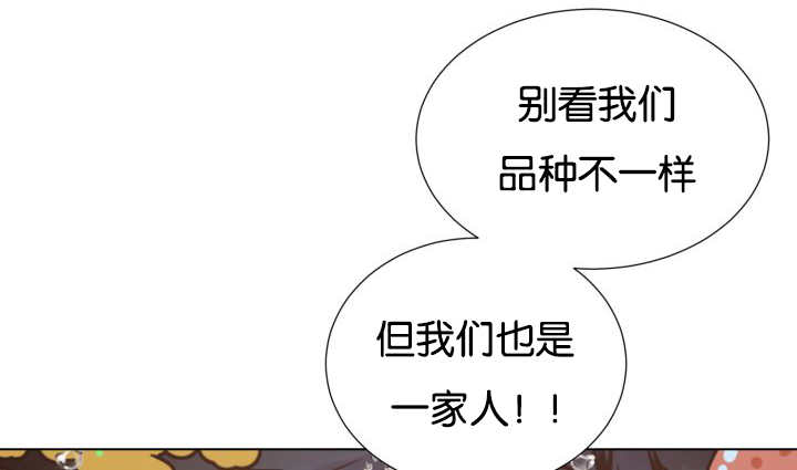 《旷野之息》漫画最新章节第26话免费下拉式在线观看章节第【79】张图片