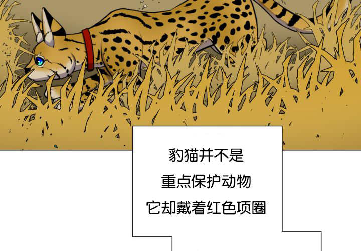 《旷野之息》漫画最新章节第43话免费下拉式在线观看章节第【93】张图片