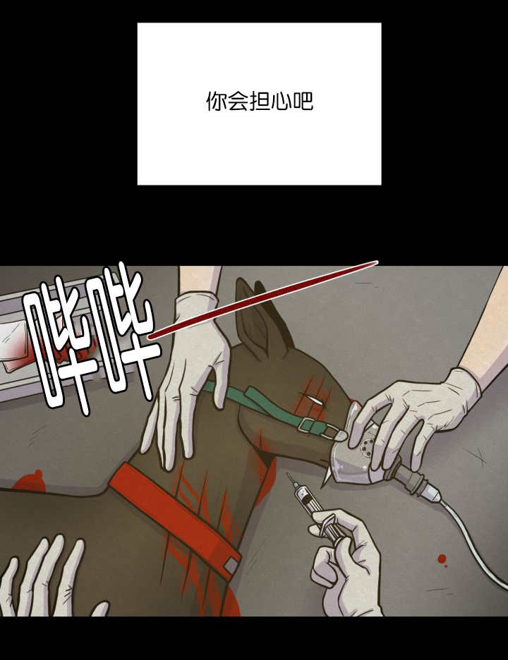 《旷野之息》漫画最新章节第68话免费下拉式在线观看章节第【81】张图片