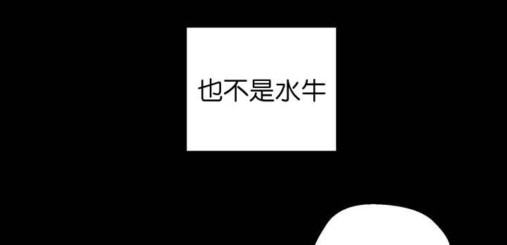 《旷野之息》漫画最新章节第83话免费下拉式在线观看章节第【101】张图片