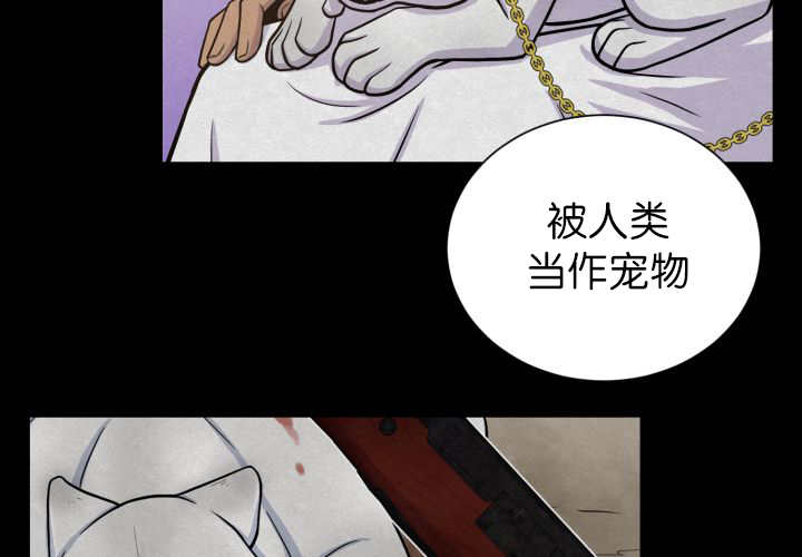 《旷野之息》漫画最新章节第87话免费下拉式在线观看章节第【23】张图片