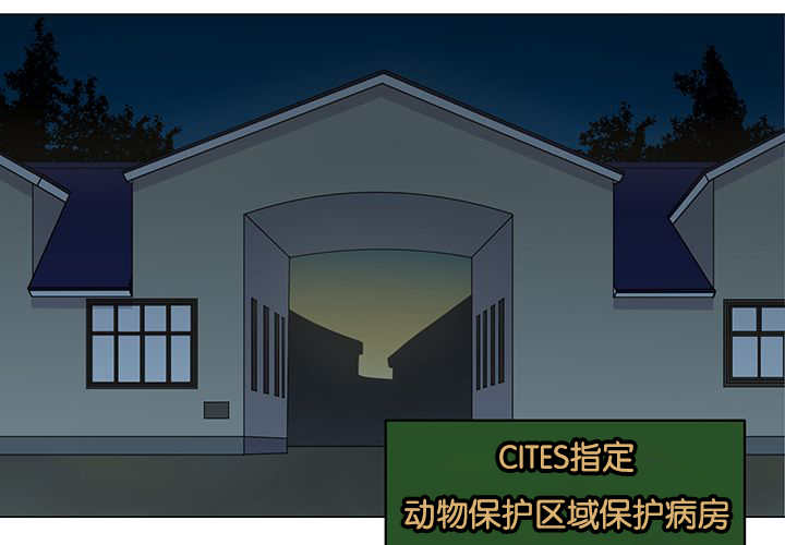 《旷野之息》漫画最新章节第21话免费下拉式在线观看章节第【101】张图片