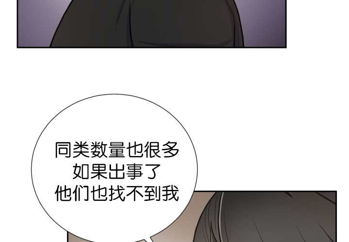 《旷野之息》漫画最新章节第82话免费下拉式在线观看章节第【45】张图片