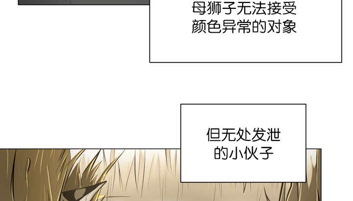 《旷野之息》漫画最新章节第12话免费下拉式在线观看章节第【15】张图片