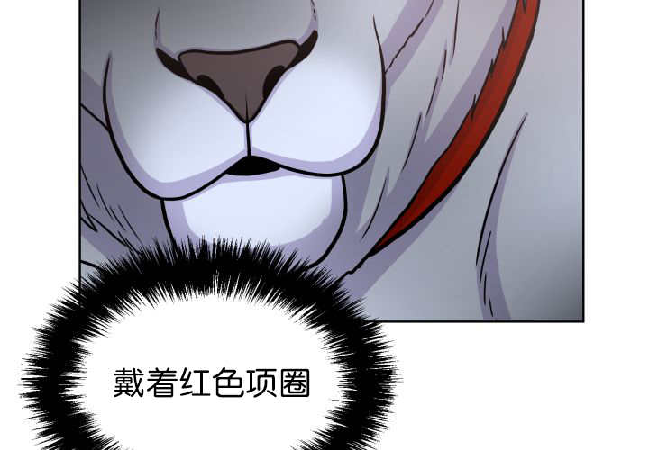 《旷野之息》漫画最新章节第54话免费下拉式在线观看章节第【19】张图片