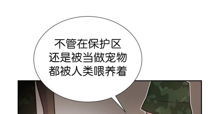 《旷野之息》漫画最新章节第81话免费下拉式在线观看章节第【35】张图片