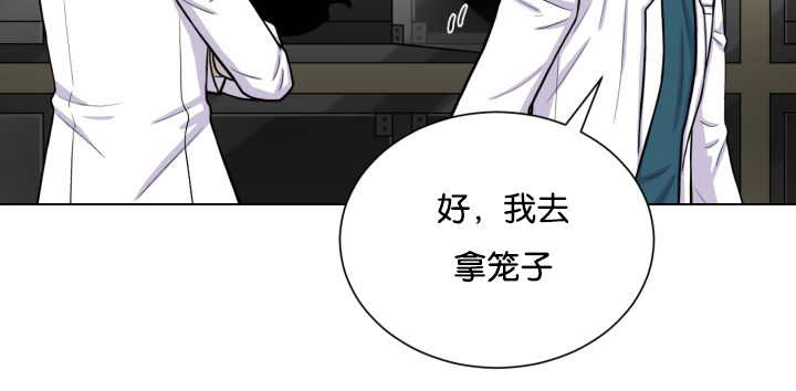 《旷野之息》漫画最新章节第42话免费下拉式在线观看章节第【167】张图片