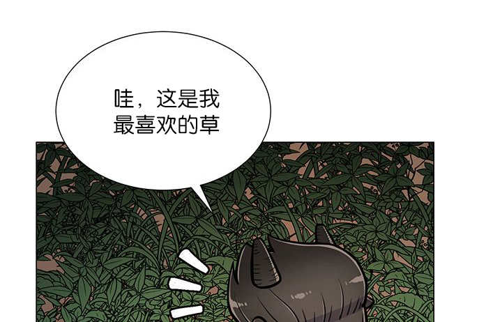 《旷野之息》漫画最新章节第19话免费下拉式在线观看章节第【29】张图片