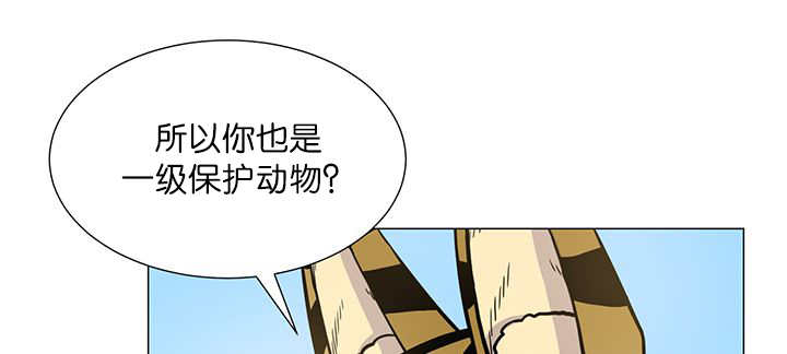 《旷野之息》漫画最新章节第5话免费下拉式在线观看章节第【23】张图片