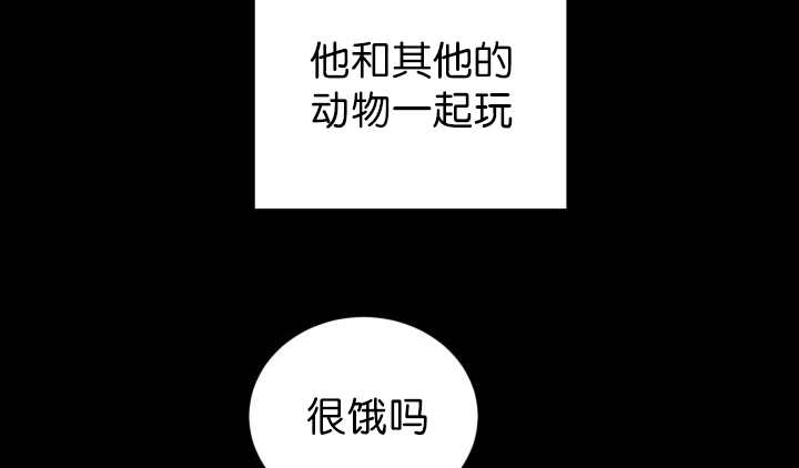 《旷野之息》漫画最新章节第83话免费下拉式在线观看章节第【83】张图片