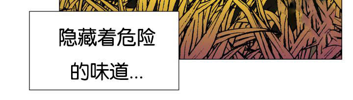 《旷野之息》漫画最新章节第43话免费下拉式在线观看章节第【89】张图片