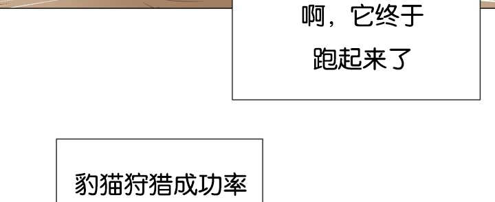 《旷野之息》漫画最新章节第43话免费下拉式在线观看章节第【103】张图片