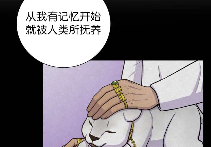 《旷野之息》漫画最新章节第87话免费下拉式在线观看章节第【21】张图片