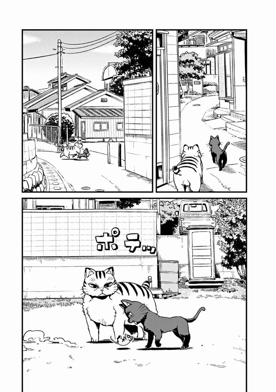 《猫儿少女的道草日记》漫画最新章节第79话免费下拉式在线观看章节第【21】张图片