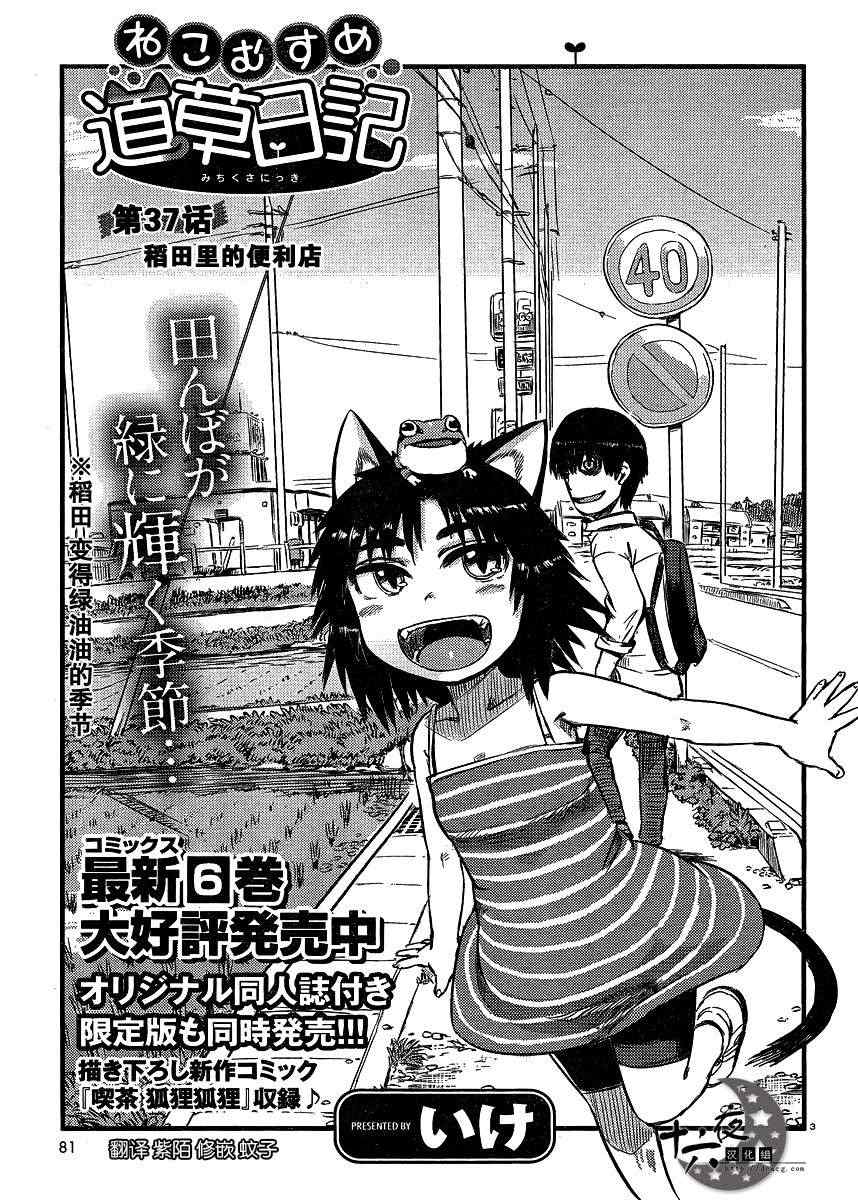 《猫儿少女的道草日记》漫画最新章节第37话免费下拉式在线观看章节第【3】张图片