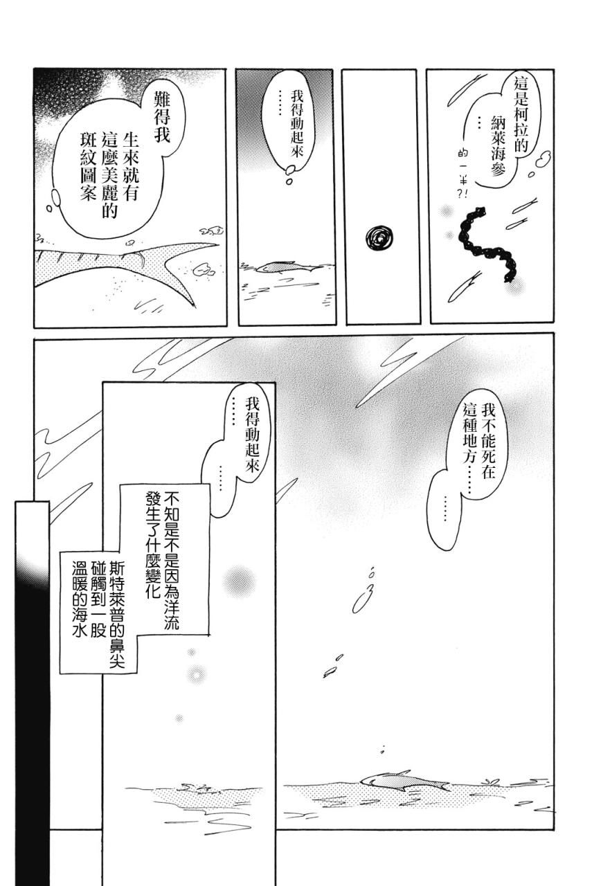 《柯拉～掌中之海～》漫画最新章节第1话免费下拉式在线观看章节第【29】张图片