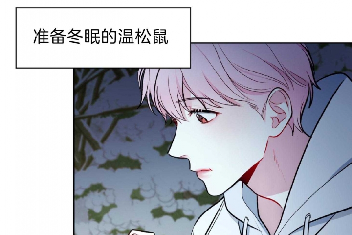 《星的轨迹》漫画最新章节第53话免费下拉式在线观看章节第【25】张图片