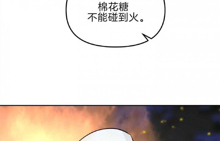 《星的轨迹》漫画最新章节第51话免费下拉式在线观看章节第【28】张图片