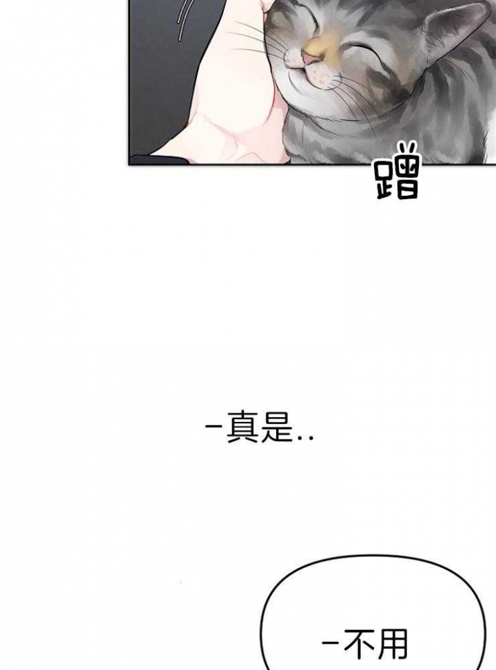 《星的轨迹》漫画最新章节第44话免费下拉式在线观看章节第【45】张图片