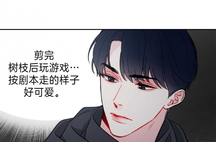 《星的轨迹》漫画最新章节第47话免费下拉式在线观看章节第【42】张图片