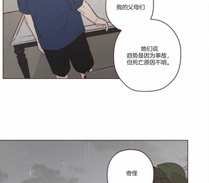 《鬼怪》漫画最新章节第74话免费下拉式在线观看章节第【17】张图片