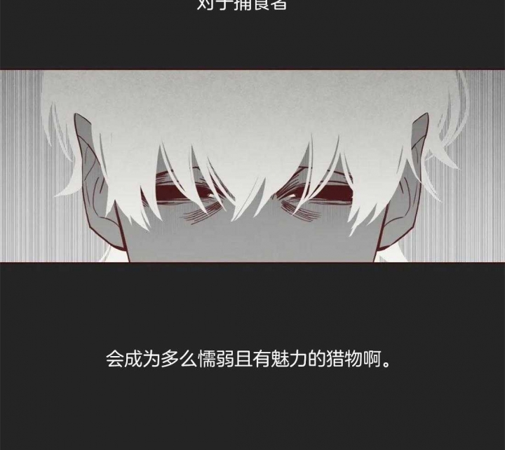 《鬼怪》漫画最新章节第83话免费下拉式在线观看章节第【38】张图片