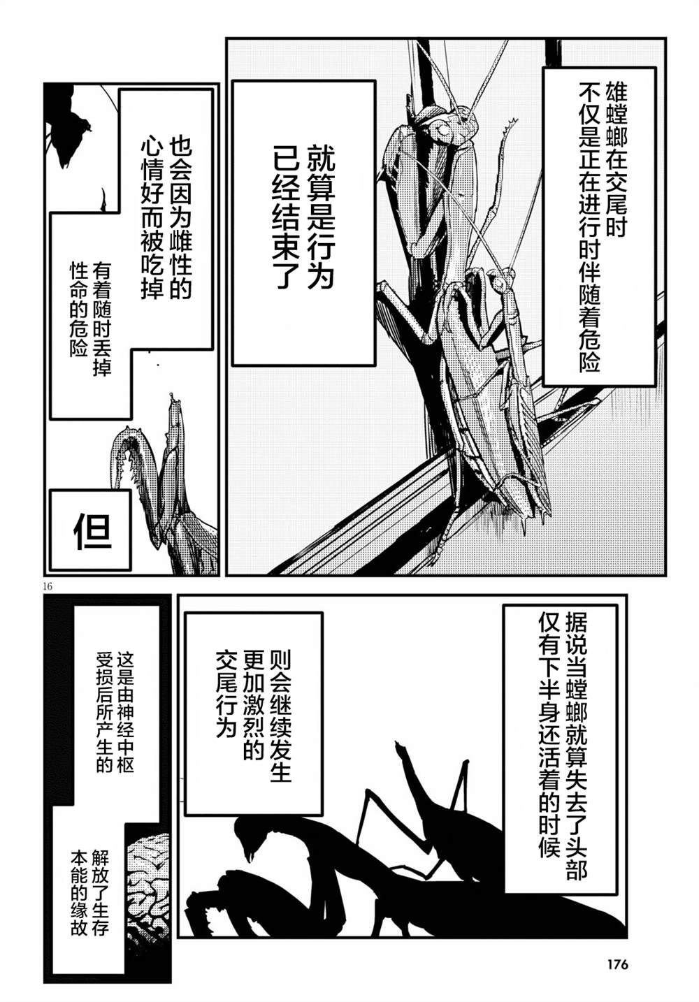 《昆虫姬》漫画最新章节第2话免费下拉式在线观看章节第【16】张图片