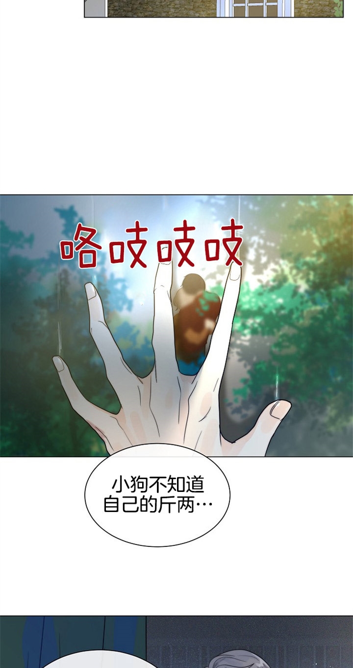 《从今天开始我是你的狗》漫画最新章节第68话免费下拉式在线观看章节第【20】张图片