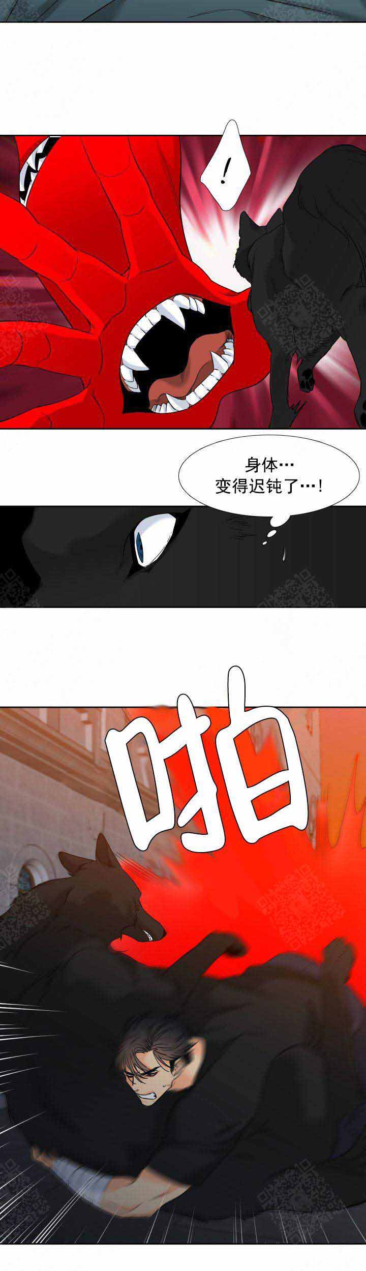 《狼的香气 ( I+II季)》漫画最新章节第206话免费下拉式在线观看章节第【2】张图片