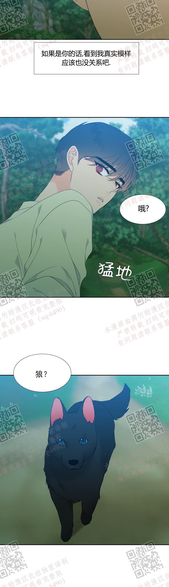 《狼的香气 ( I+II季)》漫画最新章节第233话免费下拉式在线观看章节第【8】张图片