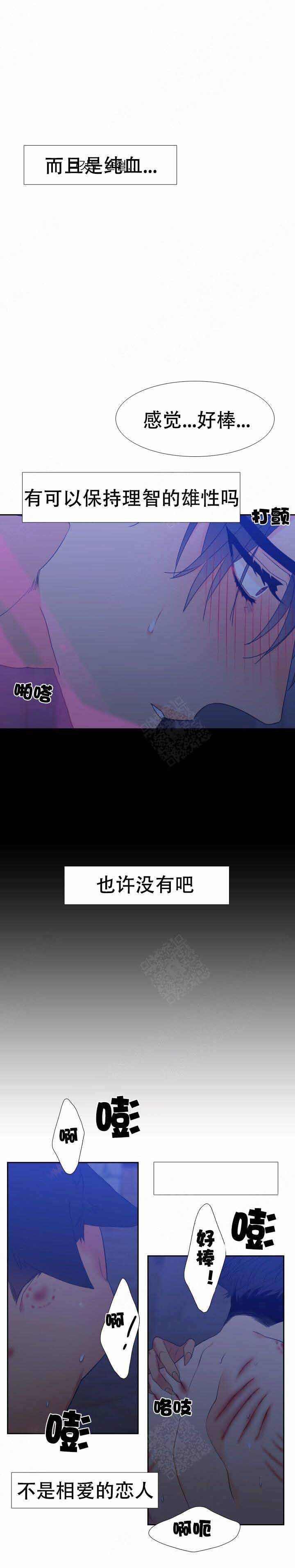 《狼的香气 ( I+II季)》漫画最新章节第165话免费下拉式在线观看章节第【3】张图片